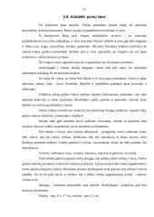 Oficialių priėmimų tipai 11 puslapis