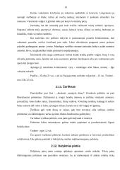 Oficialių priėmimų tipai 13 puslapis