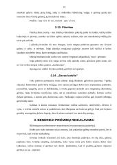 Oficialių priėmimų tipai 14 puslapis