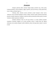 Oficialių priėmimų tipai 17 puslapis