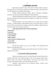 Oficialių priėmimų tipai 3 puslapis