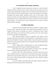 Oficialių priėmimų tipai 4 puslapis