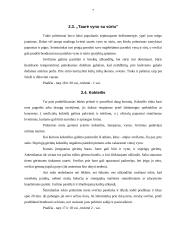 Oficialių priėmimų tipai 7 puslapis