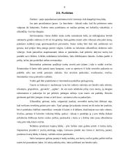 Oficialių priėmimų tipai 8 puslapis