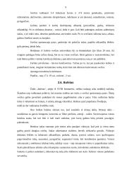 Oficialių priėmimų tipai 9 puslapis