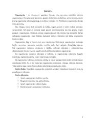 Organizacijos struktūros sąvoka, tipai, pranašumai ir trūkumai 2 puslapis