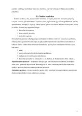 Organizacijos struktūros sąvoka, tipai, pranašumai ir trūkumai 11 puslapis