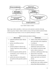 Organizacijos struktūros sąvoka, tipai, pranašumai ir trūkumai 12 puslapis
