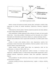 Organizacijos struktūros sąvoka, tipai, pranašumai ir trūkumai 4 puslapis