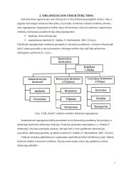 Organizacijos struktūros sąvoka, tipai, pranašumai ir trūkumai 7 puslapis