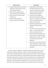 Organizacijos struktūros sąvoka, tipai, pranašumai ir trūkumai 10 puslapis