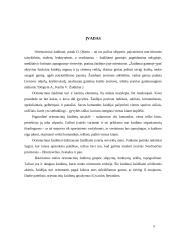 Orientaciniai žaidimai 2 puslapis