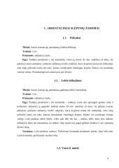 Orientaciniai žaidimai 3 puslapis