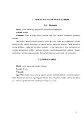 Orientaciniai žaidimai 7 puslapis