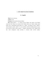 Orientaciniai žaidimai 10 puslapis