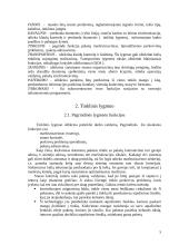 OSI lygmenys. Kanalinis lygmuo. Tinklinis lygmuo 6 puslapis