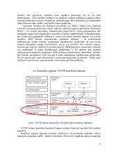 OSI lygmenys. Kanalinis lygmuo. Tinklinis lygmuo 10 puslapis
