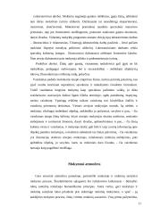 Pamokos vedimas 11 puslapis