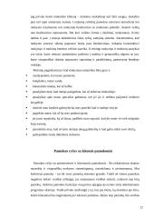 Pamokos vedimas 12 puslapis