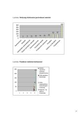 Pamokos vedimas 17 puslapis