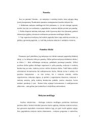 Pamokos vedimas 3 puslapis