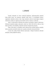 Pamokų tvarkaraštis: reikalavimai ir situacija mokykloje 3 puslapis