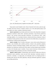 Paskirstymo veiklos ir marketingo kanalų analizė bei tobulinimas: AB "Žemaitijos pienas" 15 puslapis
