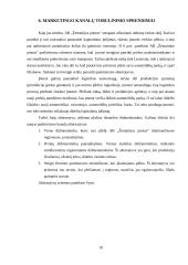 Paskirstymo veiklos ir marketingo kanalų analizė bei tobulinimas: AB "Žemaitijos pienas" 19 puslapis