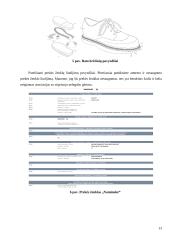 Patentų teisės kūrimosi istorija, samprata, normos bei teisinis reguliavimas 13 puslapis