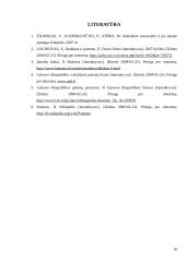 Patentų teisės kūrimosi istorija, samprata, normos bei teisinis reguliavimas 16 puslapis