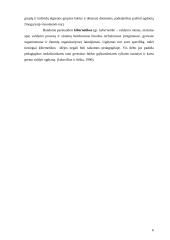 Pedagogikos samprata 6 puslapis