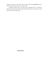 Pedagoginis meistriškumas 12 puslapis