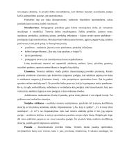 Pedagoginis meistriškumas 6 puslapis