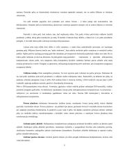 Pelės tipo įrenginiai 6 puslapis