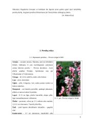 Persikų auginimas ir veislių savybių vertinimas 5 puslapis