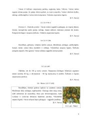 Persikų auginimas ir veislių savybių vertinimas 8 puslapis