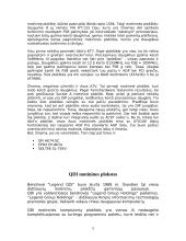 Personalinio kompiuterio pasirinkimo ypatumai 4 puslapis