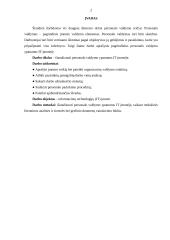 Personalo valdymas informacinių technologijų (IT) įmonėje 2 puslapis