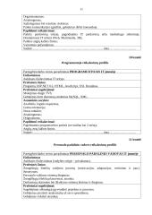 Personalo valdymas informacinių technologijų (IT) įmonėje 11 puslapis