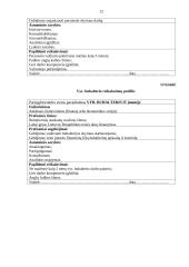 Personalo valdymas informacinių technologijų (IT) įmonėje 12 puslapis