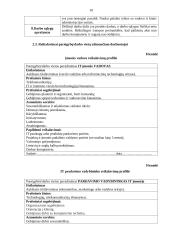 Personalo valdymas informacinių technologijų (IT) įmonėje 10 puslapis