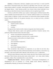 Pieno baltymai. Terminio apdorojimo įtaka jų savybėms 3 puslapis