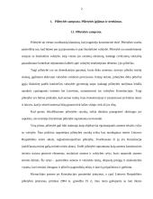 Pilietybė. Atostogos 2 puslapis
