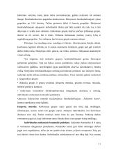 Pilietiškumo ugdymas užklasinėje ir užmokyklinėje veikloje 11 puslapis