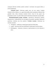 Pilietiškumo ugdymas užklasinėje ir užmokyklinėje veikloje 12 puslapis