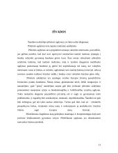 Pilietiškumo ugdymas užklasinėje ir užmokyklinėje veikloje 13 puslapis