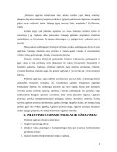 Pilietiškumo ugdymas užklasinėje ir užmokyklinėje veikloje 4 puslapis