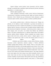 Pilietiškumo ugdymas užklasinėje ir užmokyklinėje veikloje 6 puslapis