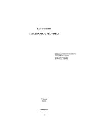 Pinigų plovimas 14 puslapis