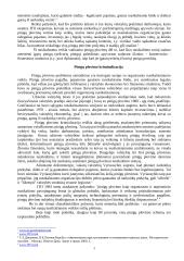 Pinigų plovimas 3 puslapis